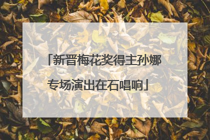 新晋梅花奖得主孙娜专场演出在石唱响